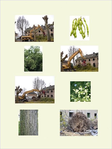 Margaretenhof 024